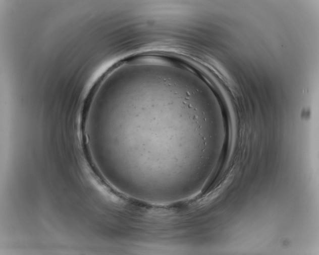 X0000091920788200709051439