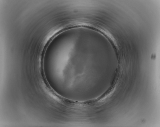 X0000091920790200709051439