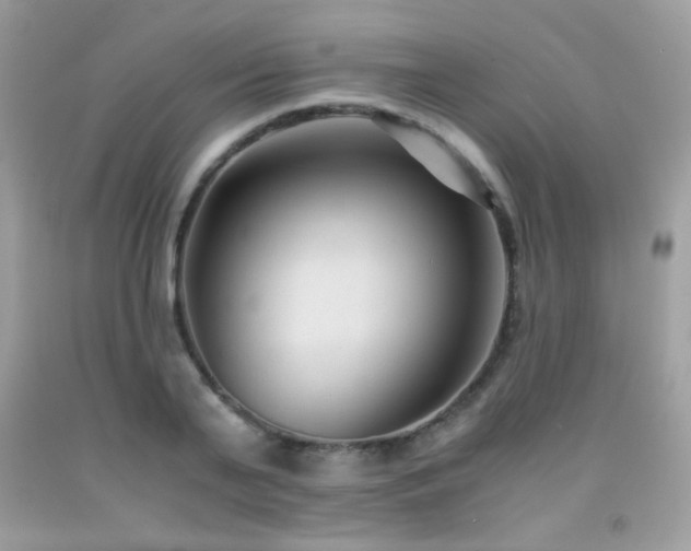X0000091920791200709051439