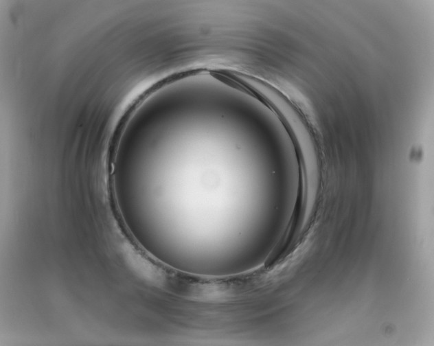 X0000091920792200709051439