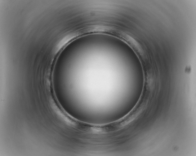 X0000091920794200709051439