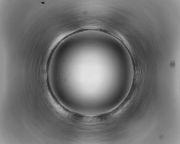 X0000091920795200709051439