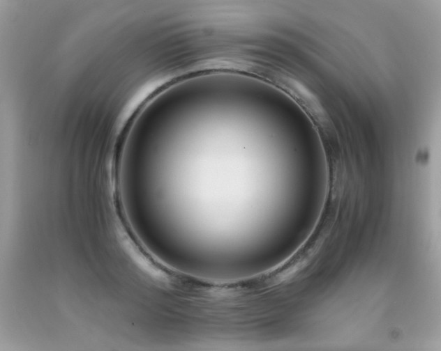 X0000091920796200709051439
