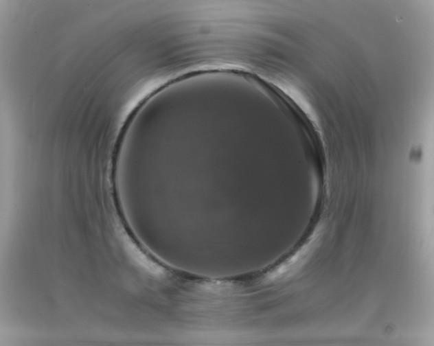 X0000091920797200709051439
