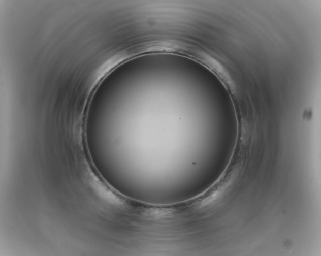 X0000091920802200709051439