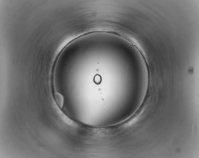 X0000091920803200709051439
