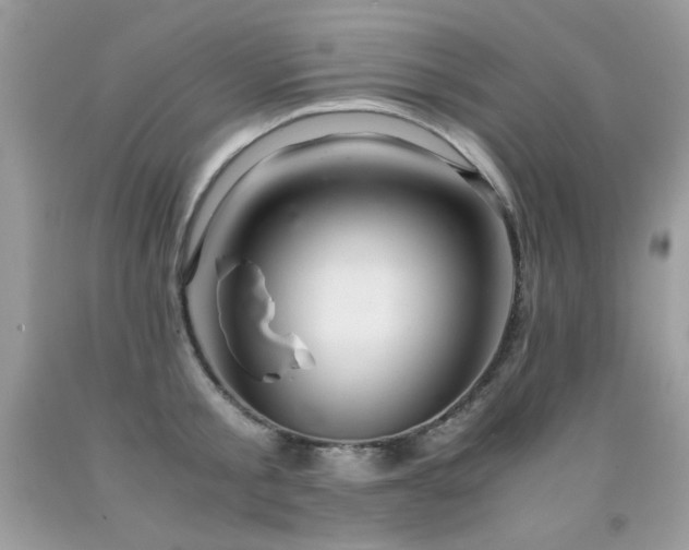 X0000091920805200709051439
