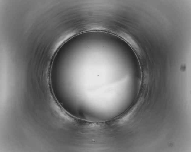 X0000091920806200709051439