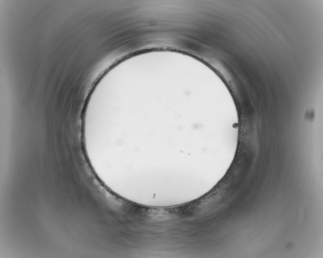 X0000091920807200709051439
