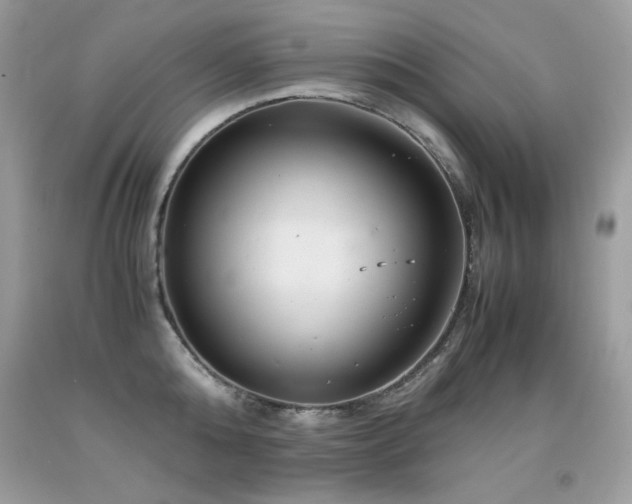 X0000091920808200709051439