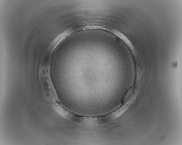 X0000091920809200709051439