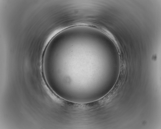X0000091920811200709051439
