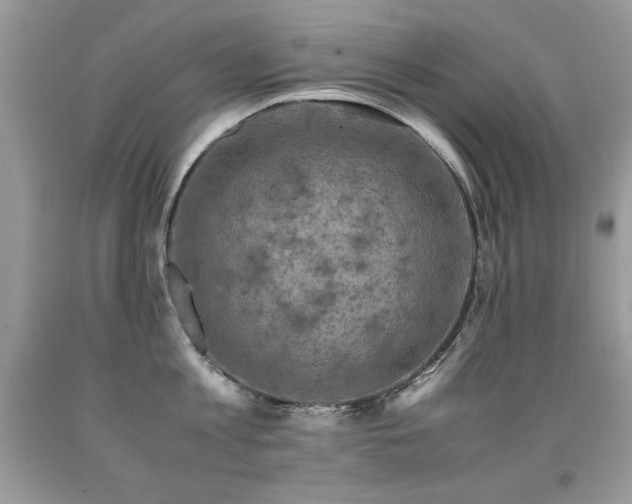 X0000091920813200709051439