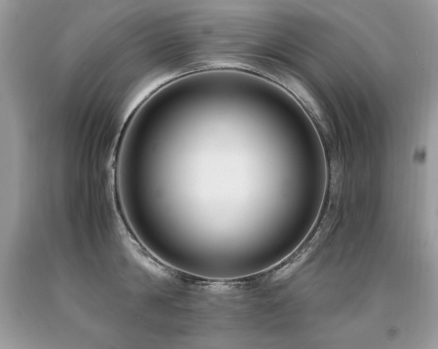 X0000091920814200709051439