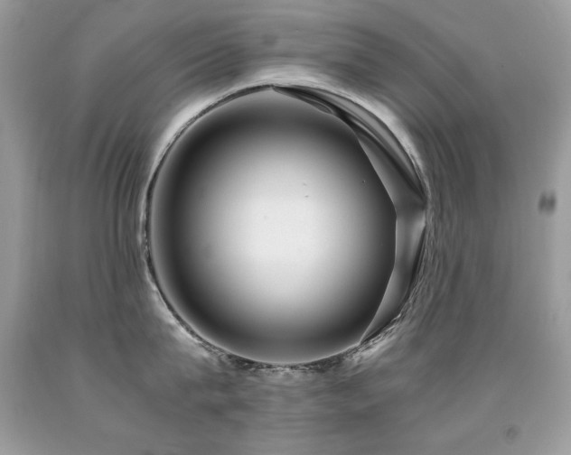 X0000091920815200709051439