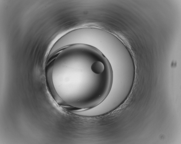 X0000091920816200709051439