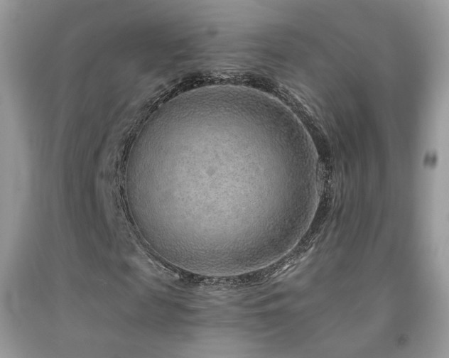 X0000091920817200709051438