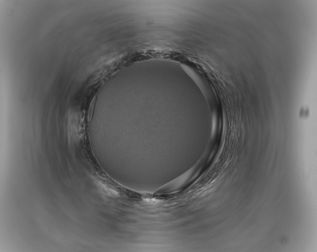 X0000091920818200709051438