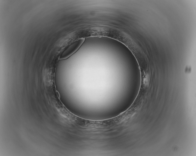 X0000091920819200709051438