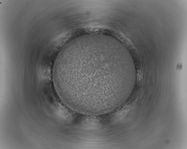 X0000091920820200709051438