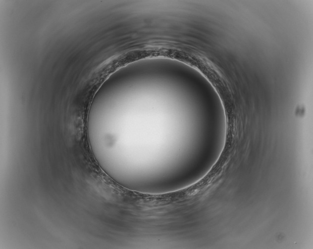 X0000091920821200709051438