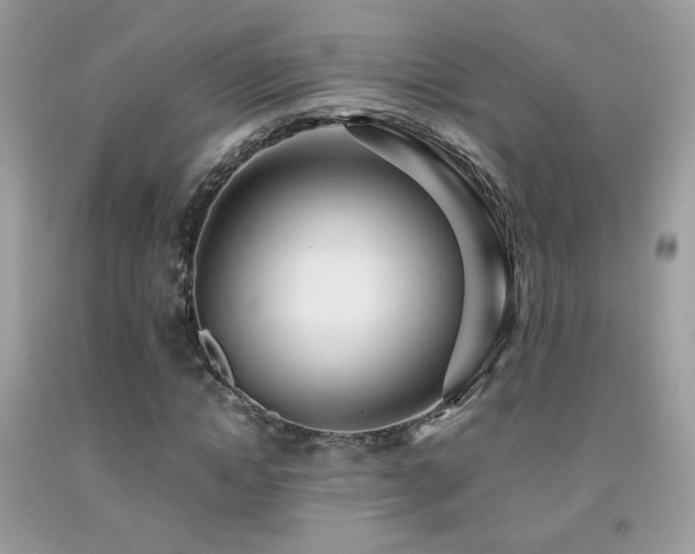 X0000091920822200709051438