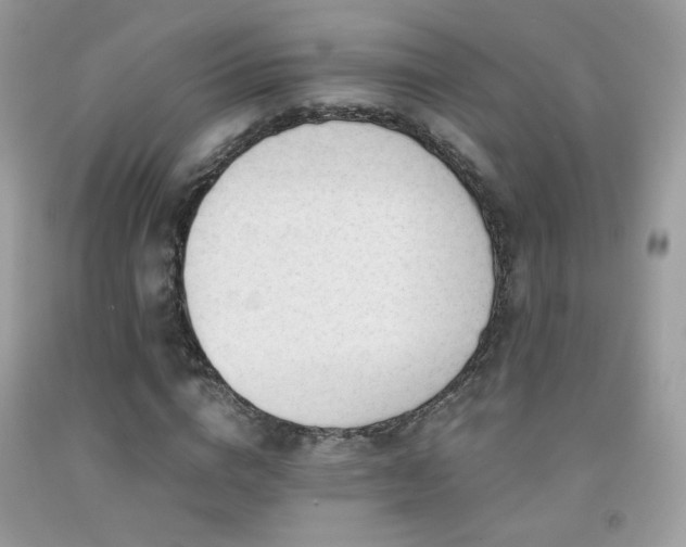 X0000091920824200709051438