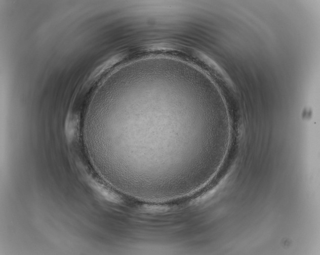 X0000091920825200709051438