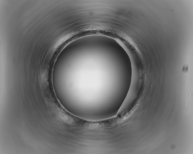 X0000091920826200709051438