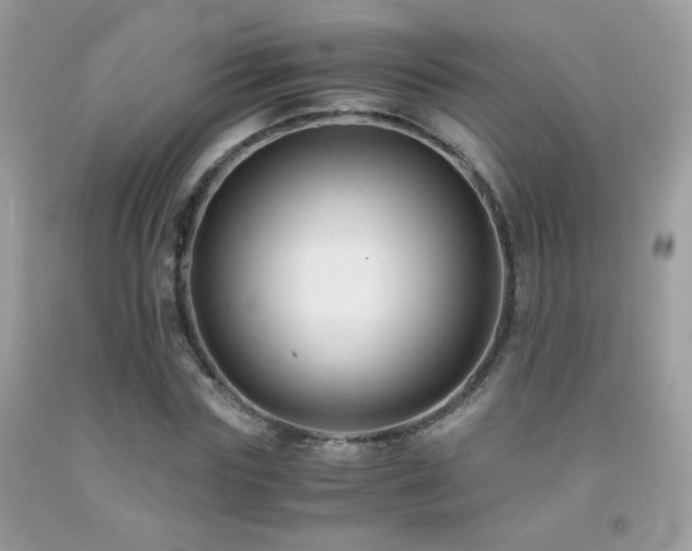 X0000091920827200709051438