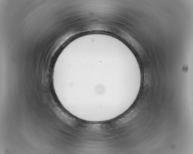 X0000091920828200709051438