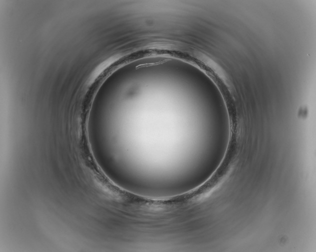 X0000091920829200709051438