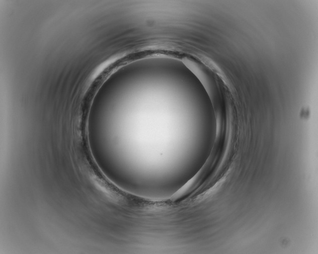 X0000091920830200709051438