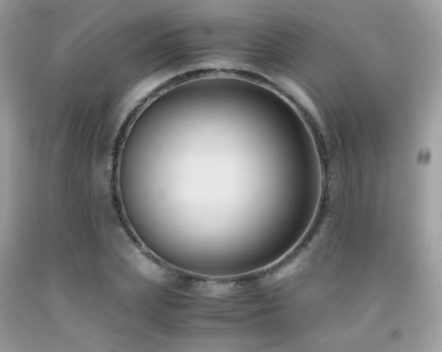 X0000091920831200709051438