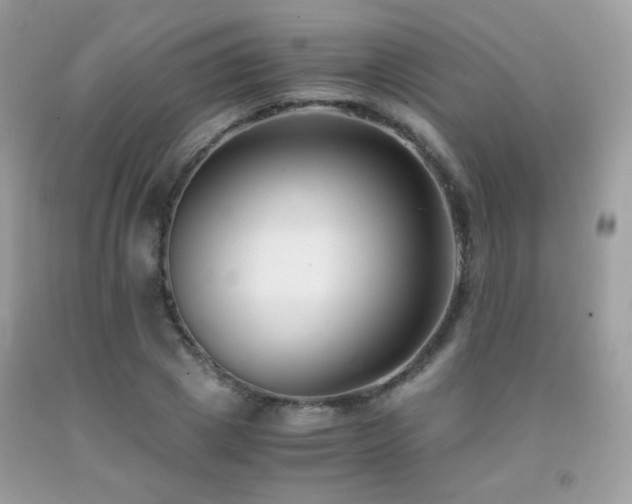 X0000091920833200709051438
