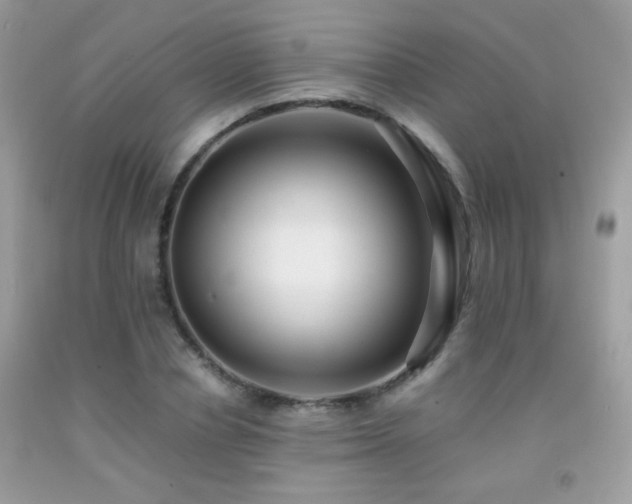X0000091920834200709051438