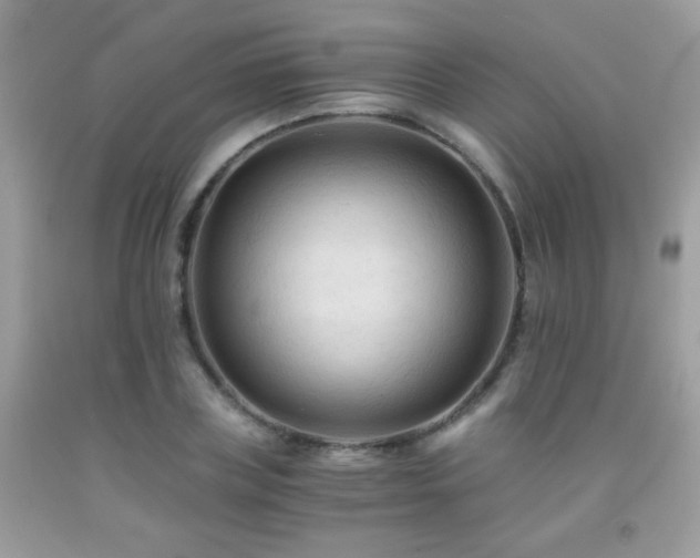 X0000091920835200709051438