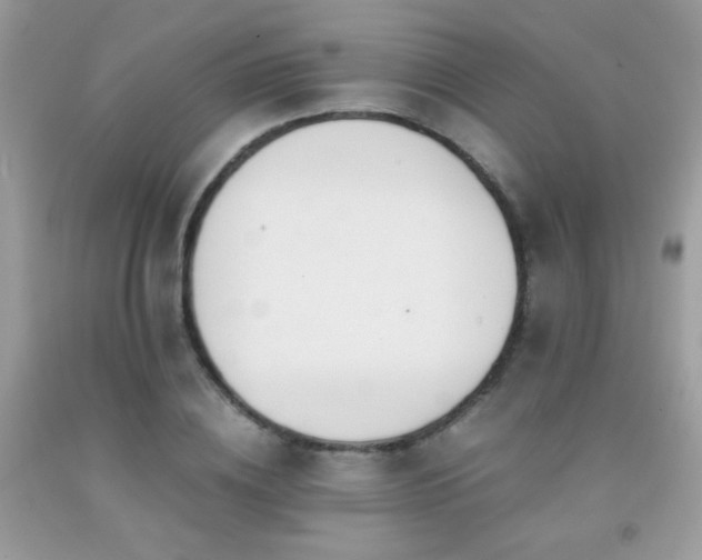 X0000091920836200709051438