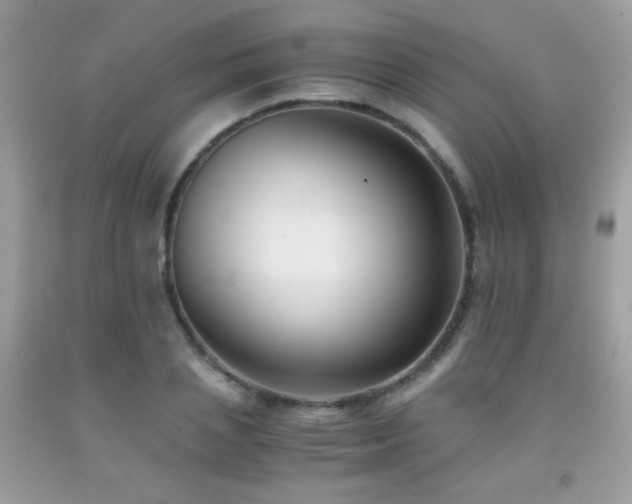 X0000091920837200709051438
