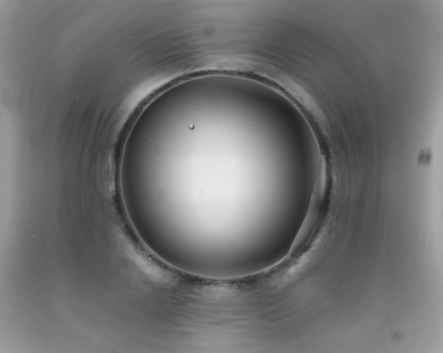 X0000091920838200709051438
