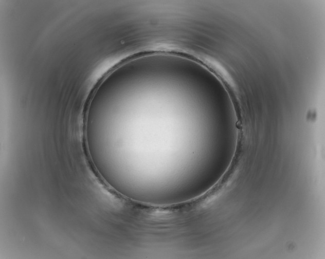 X0000091920839200709051438
