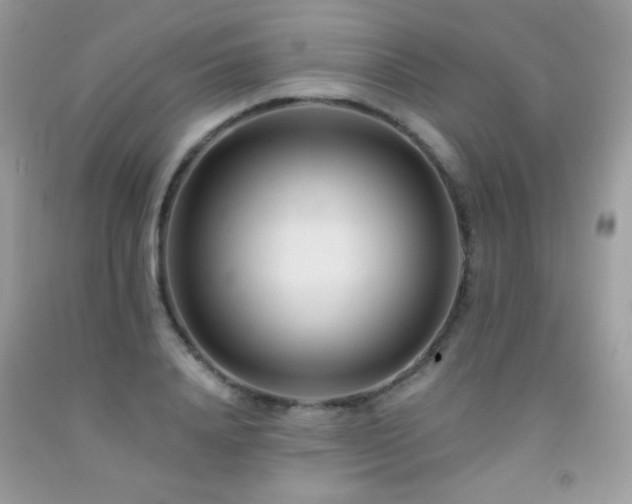 X0000091920840200709051438