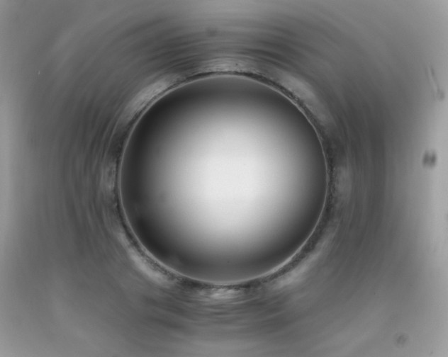 X0000091920841200709051438
