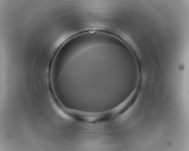 X0000091920842200709051438