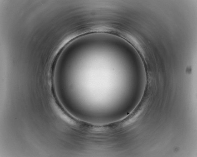 X0000091920843200709051438