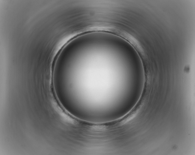X0000091920844200709051438