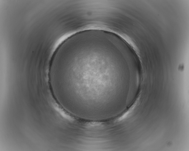 X0000091920846200709051438