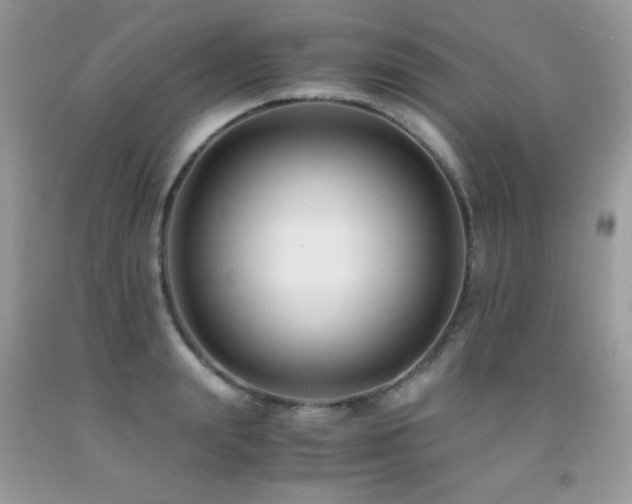 X0000091920847200709051438