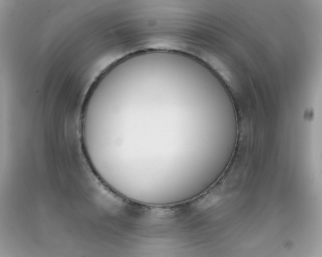 X0000091920848200709051438