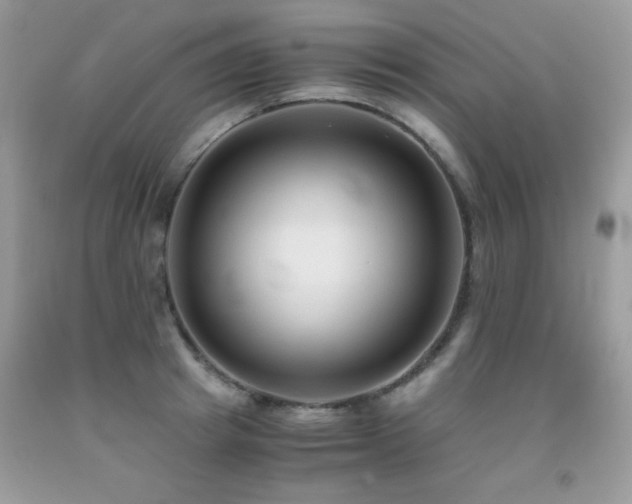 X0000091920849200709051438